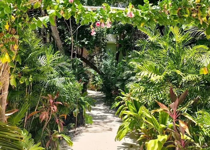 Discreet Luxury Between Jungle&caribbean Mistiq T 2 * Tulum